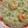 Psyche Chang 的 🇮🇹 義式蘆筍鮮蝦燉飯 cooksnap