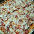 Cooksnap dari Twinnist untuk resep Pizza teflon no.no.no (no ulen, no telur, no oven, no ribet)