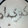 صورة من LHbiba LHbiba ، شاركها بعد تجربة وصفة تيراميسو بدون جبن سهل وسريع ومذاق رائع