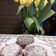 Brigitta Moller V. Cooksnap-ja, amikor elkészítette a(z) Kókuszos muffin receptet.