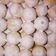 Cooksnap dari Ine untuk resep Putri Salju Simple
