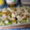 El cooksnap de jorbasmar cuando hizo Ensalada malagueña de bacalao.