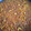 El cooksnap de MaryGlory cuando hizo Arroz con Chocos.