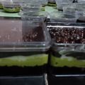 Cooksnap dari Jamilah untuk resep Dessert Box Alpukat (62)
