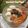 Cooksnap dari F. Mikayla ArSyana untuk resep Sop Ayam