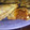 El cooksnap de Carolina Lopez cuando hizo Empanadas de carne cortada a cuchillo.