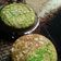 Cooksnap dari Ika Kurniawan (mimih Dizha..) untuk resep Bolu mentega pandan 2 in 1 (otang)