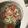 El cooksnap de ledysduran cuando hizo Ensalada de pepinos con vinagreta de yogur griego.