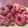 Erina Schreiber's cooksnap of when they made Easy Donuts..