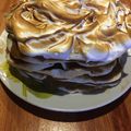 El cooksnap de merrygra cuando hizo Torta Rogel 💜.