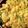 tsholo 's cooksnap of when they made Chicken strips and rice.