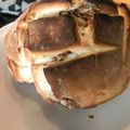 El cooksnap de Ivæn BąPrå cuando hizo Pan rápido con thermomix.