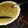 Sukla Sil's cooksnap of when they made কাঁচা আম দিয়ে মসুর ডাল (Kancha aam diye masoor dal recipein Bengali).