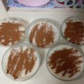 El cooksnap de Rosa Castellano cuando hizo Arroz con leche de mi madre.