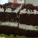 Cooksnap dari anneyboron untuk resep Brownies Kukus Ny.Liem 1/2 resep