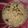 Kajal Gaba 's cooksnap of when they made Rosted murmura namkin.