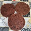 Cooksnap-ul lui Ramona Cionca atunci când a preparat Blat de tort cu cacao.
