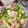 廖小樹 的 韭菜炒甜不辣 cooksnap