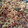 El cooksnap de Carmeta cuando hizo Pasta con mini albóndigas.