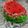 کوک اسنپ غزل بعد از امتحان کردن کیک هندوانه 🍉🍉.