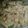 Vrinda Idnani's cooksnap of when they made Penne Pasta in white sauce.