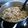 El cooksnap de juantxo cuando hizo Arroz meloso de hongos (boletus edulis).