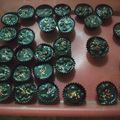 Cooksnap dari Fatima malik untuk resep kue coklat lebaran