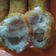Cooksnap dari Weni Wnee untuk resep Roti Mozarella Stick