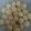 Anushree Das Biswas's cooksnap of when they made Rasgulla.