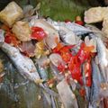 Cooksnap dari Hisan untuk resep Kukus ikan kembung kecil