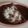 El cooksnap de Manuel Lopez cuando hizo Enchiladas de mole oaxaqueño.