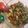 Anu's Delight's cooksnap of when they made Chilli fried Vegetables.