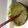ConnanThaLibrarian's cooksnap of when they made Making Pesto.