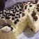 Cooksnap dari Kartina Spd untuk resep Spons Cake Kukus (no emulsifier)