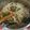 Pei Pei Li 的 簡易牛肉麵 cooksnap
