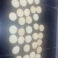 El cooksnap de nadiapamelaruiz cuando hizo ~ Tapitas de alfajorcitos de Maizena 🧡.