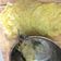 Cooksnap dari Lucia Hadi untuk resep Egg Roll Rumahan