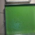 Cooksnap dari Tiur Marulina untuk resep Kue talam Ketan Srikaya pandan