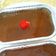Cooksnap dari lady untuk resep Chocolate Dessert Box