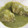 El cooksnap de MaryGlory cuando hizo Merluza en Salsa Verde.
