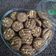 Cooksnap dari Neni Kuswati untuk resep Nutrijell Cookies