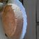El cooksnap de Mel cuando hizo Budín de pan.