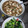 Cooksnap dari Theresia Dian untuk resep Mun Tahu Daging Giling