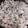 El cooksnap de Ainara Roca cuando hizo Cocochas de bacalao y gulas.