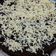 Cooksnap dari Anily untuk resep Brownies kukus takaran sendok