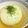 tonapan's cooksnap of when they made 丸ごと！あま～い新玉ねぎの煮込み料理！.