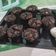 Cooksnap dari Dapur IBU 123 untuk resep Cupcake Brownis panggang