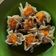 Cooksnap dari Juwita Stevani untuk resep Dimsum Ayam udang
