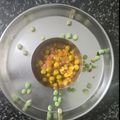 Arundhati Gadale ( अरुंधती गडाळे )'s cooksnap of when they made मटार- वाटाणा उसळ (matar vatana usal recipe in marathi).