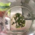 El cooksnap de Paula Ruiz cuando hizo Limonada de flor de jamaica.